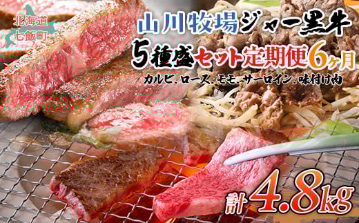 【定期便６か月】山川牧場ジャー黒５種盛セット 【 ふるさと納税 人気 おすすめ ランキング 北海道ブランド牛 牛 牛肉 和牛 ジャー黒 モモ モモ肉 ロース ロース肉 焼き肉 サーロイン ステーキ サーロインステーキ ステーキ肉 牛ステーキ カルビ 定期便 北海道 七飯町 送料無料 】 NAN017