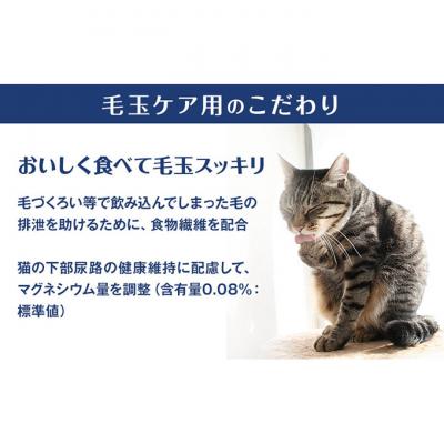 ふるさと納税 伊丹市 銀のスプーン三ツ星グルメ 香るお魚仕立て毛玉ケア4種のアソート お魚レシピ[54030336] |  | 02