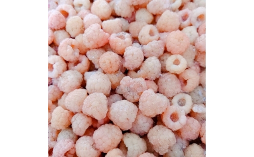 【令和8年10月以降出荷】冷凍イエローラズベリー 2kg(500g×4袋)【1743710】
