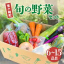 【ふるさと納税】旬の野菜セット【楽天限定】お試し ( 6品 5000円 ) 詰め合わせ おまかせ 6～15品 たっぷり やさい 満喫 季節 旬 春野菜 夏野菜 秋野菜 新鮮 野菜セット 831 玉ねぎ トマト とうもろこし サラダ 中華 料理 国産 野菜 高騰 2024 岩手県 金ケ崎町 iwate