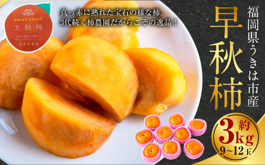 
            【先行予約】 西見柿農園 早秋柿 9玉から12玉 （約3kg） 【2025年10月上旬から10月中旬 出荷予定】 柿 かき カキ 早秋 そうしゅう 大玉 果物 くだもの フルーツ 果実 ジューシー 高糖度品種 お取り寄せ 福岡県 うきは市
          