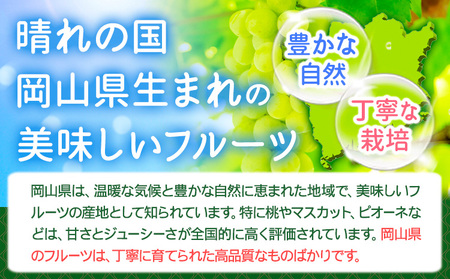 シャインマスカット訳あり約500g【配送不可地域あり】