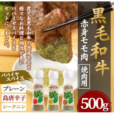 ふるさと納税 天城町 徳之島 天城町 鹿児島黒毛和牛 赤身モモ肉 焼肉用 500g パパイヤスパイス 40g×3種セット