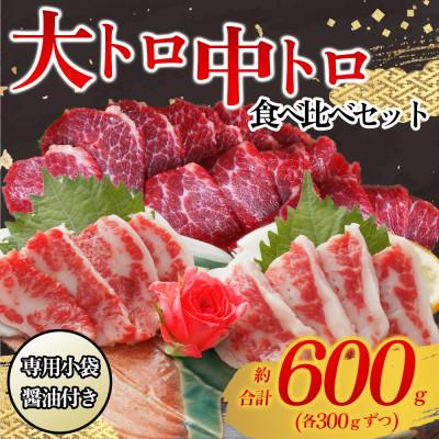 ふるさと納税 阿蘇市 【熊本と畜】大トロ・中トロ馬刺しのセット 600g(各300g)(阿蘇市)