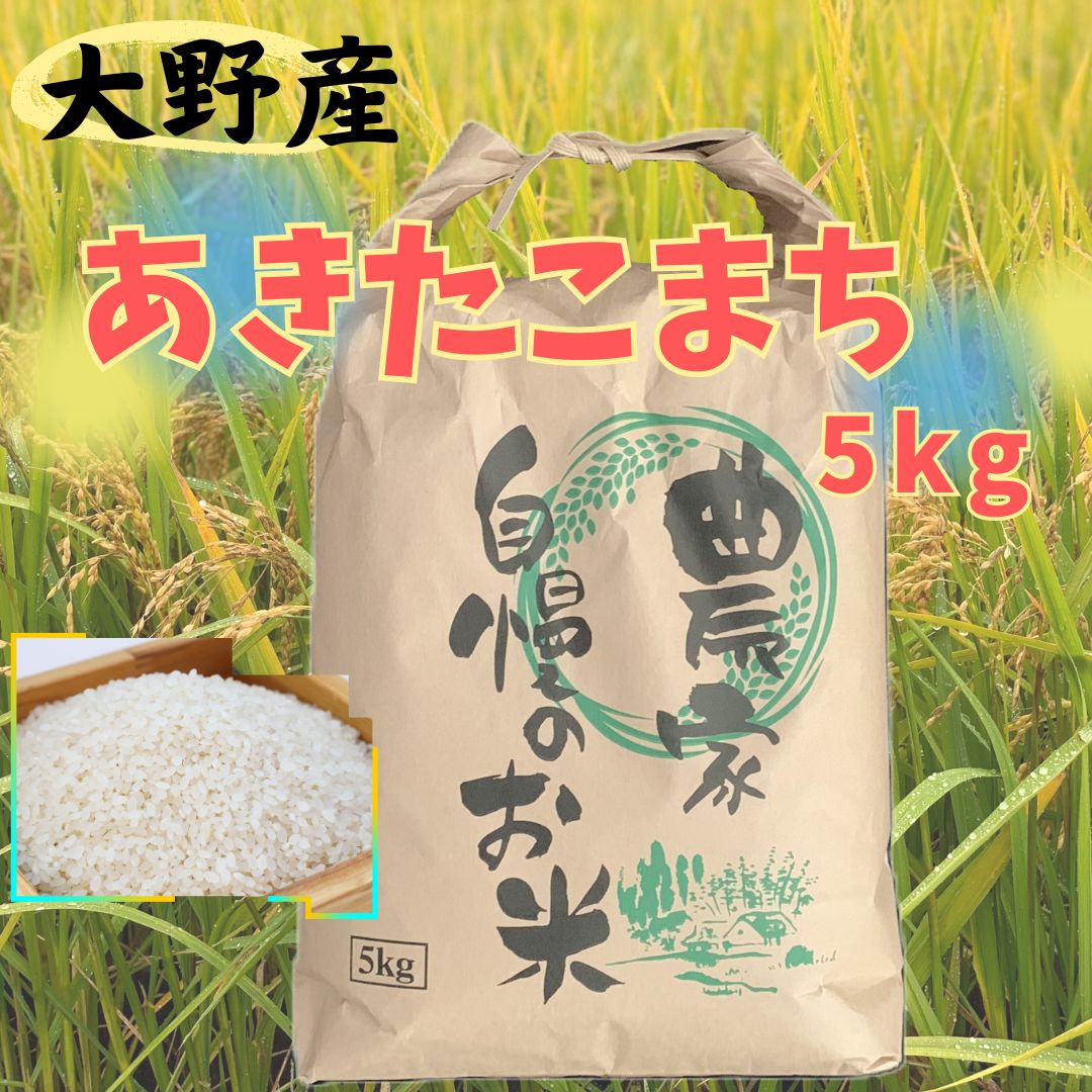 【ふるさと納税】【令和6年産】大野産あきたこまち5kg