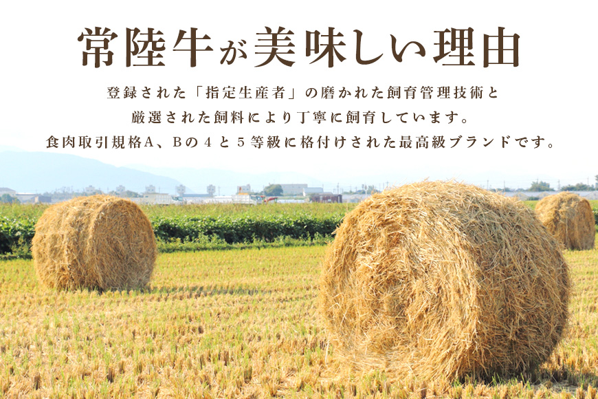 常陸牛A-5肩ロースすき焼用 500g A5ランク A5 和牛 牛肉 すき焼き 【茨城県共通返礼品】 58-C