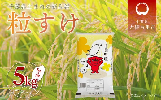 【新米 先行受付】令和7年産 千葉県産「粒すけ」5kg（5kg×1袋） お米 5kg 千葉県産 大網白里市 粒すけ 米 精米 こめ 送料無料 A053