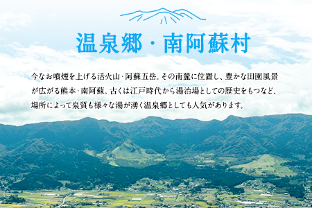 熊本県南阿蘇村8施設で使える宿泊ギフト券10000円分《30日以内に出荷予定(土日祝除く)》みなみあそ観光局---isms_mskgf_30d_r7_35000_10000yen---