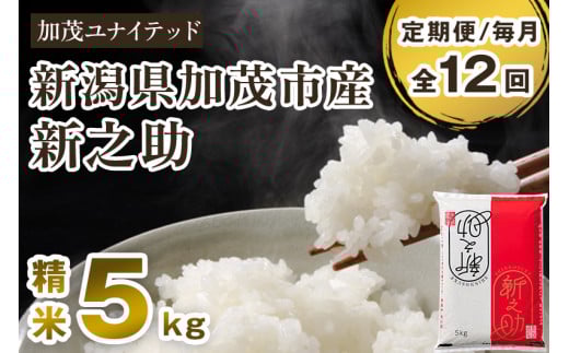 【令和7年産新米先行予約】【定期便12ヶ月毎月お届け】新潟県産 新之助 精米5kg 《5kg×1袋》《10月上旬から順次発送》 新潟 ブランド米 加茂市 加茂ユナイテッド