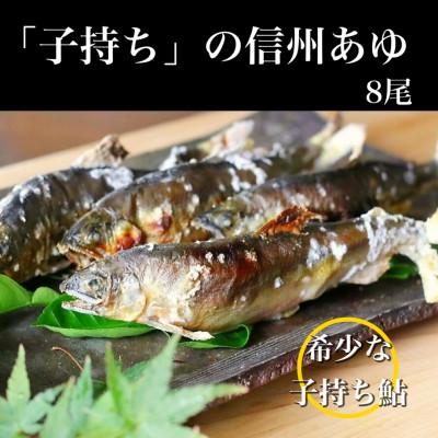 ふるさと納税 長野県 「子持ち」の信州あゆ(冷凍個包装)8尾