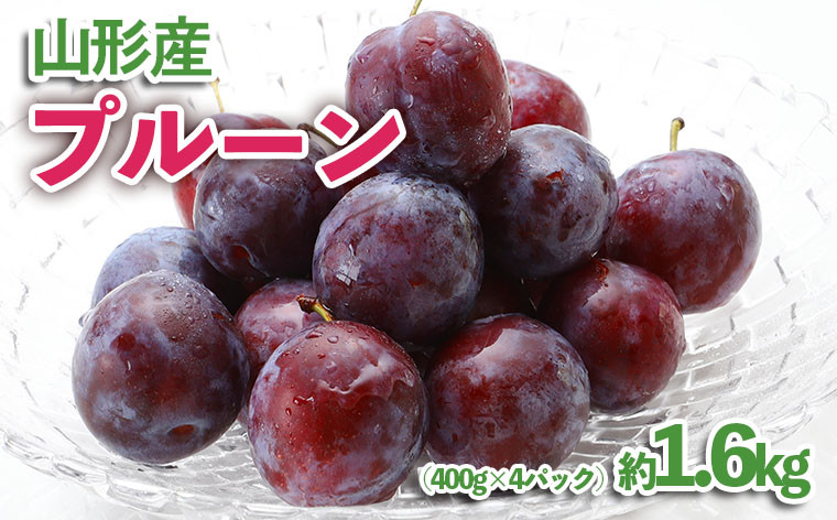 
            山形産 プルーン 約1.6kg(400g×4パック) 【令和7年産先行予約】FU23-535 くだもの 果物 フルーツ 山形 山形県 山形市 2025年産
          