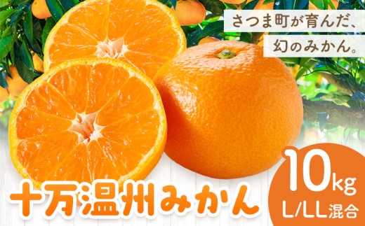 十万温州みかん 選べる L/LL混合 10kg 田野農園《12月中旬-3月中旬頃出荷》鹿児島県 さつま町 みかん 蜜柑 柑橘 果物 くだもの フルーツ ジューシー 送料無料