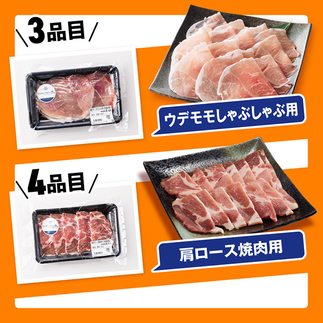 【令和7年4月発送】【いろんな料理にアレンジできちゃう満喫コース】（精肉）みらい豚満喫セット　肉豚豚肉国産豚肉九州産豚肉宮崎県産豚肉バラ肩ロースウデモモ焼肉[E0102br704] 令和7年4月発送分