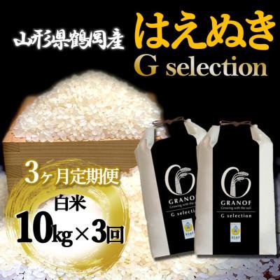 ふるさと納税 鶴岡市 【毎月定期便】山形県産 はえぬき Gセレクション 白米 10kg全3回