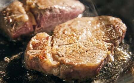 【10月配送】おおいた和牛ヒレステーキ450g|豊後高田市 ヒレ