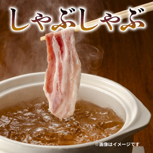 豚バラ スライス 1.2kg 小分け 国産 豚バラ