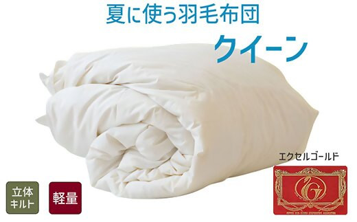 
【5.8-2】夏に使う羽毛布団 エクセルゴールドラベル 薄掛け クイーン 210×210cmイングランドダウン90％ 日本羽毛製品共同組合品質推奨ラベル付き 肌掛け 羽毛 掛け布団 立体キルト【251-000266-20】
