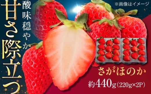 佐賀県産イチゴ「さがほのか」約440g（220g×2パック） /有限会社しげやす [UEQ001]