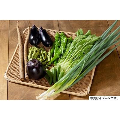 ふるさと納税 京都市 <2回　定期便>【JA全農京都】半年に1回配送!季節の京野菜セット |  | 01