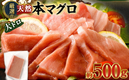 厳選天然本マグロ 大トロ 赤身500g | ﾏｸﾞﾛﾏｸﾞﾛﾏｸﾞﾛﾏｸﾞﾛﾏｸﾞﾛ 食べ比べ