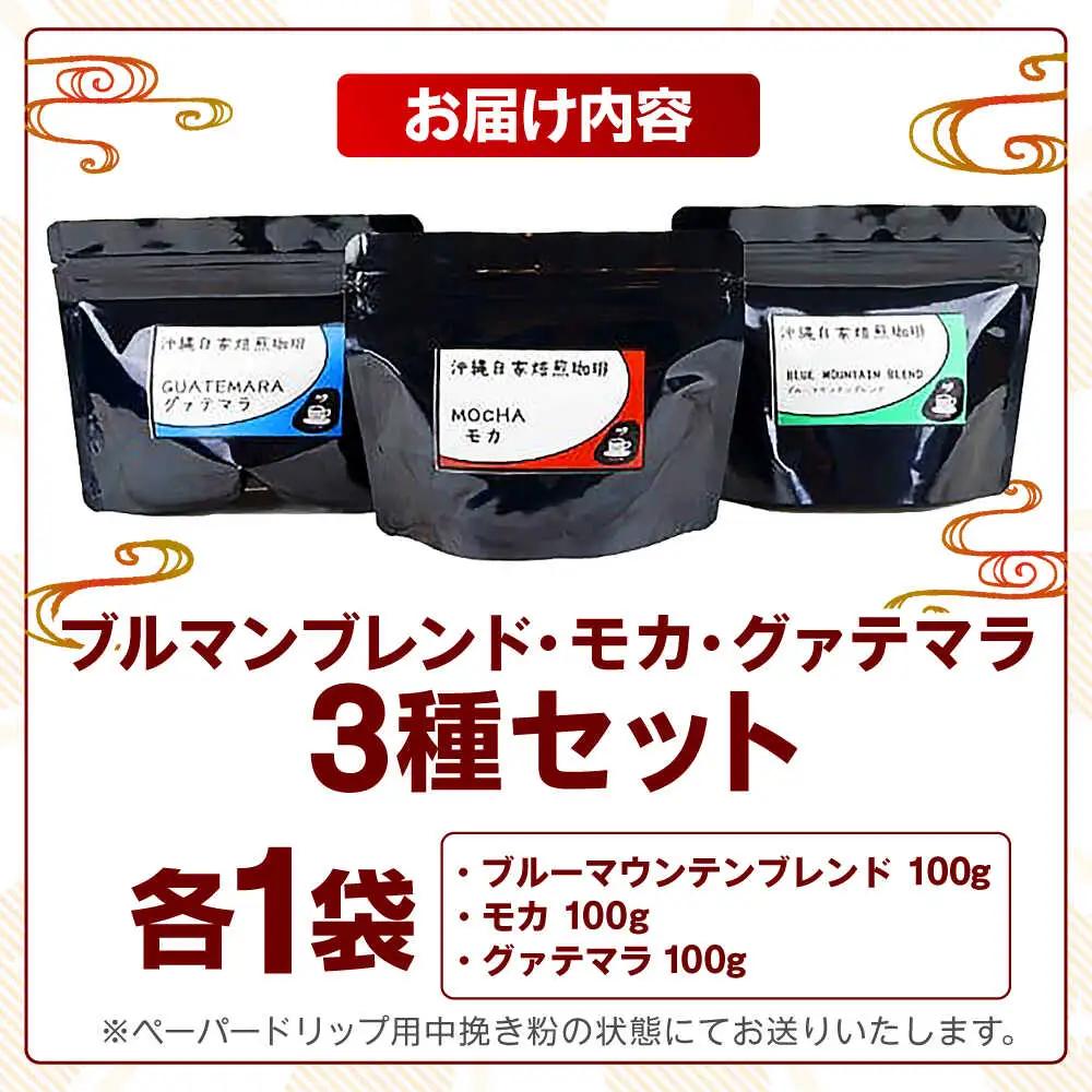 コーヒー 【自家焙煎】ブルマンブレンド・モカ・グァテマラの3種セット  BCBE008