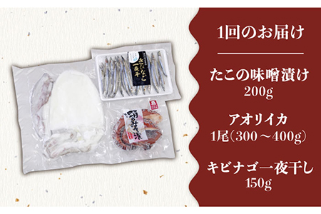 【全3回定期便】おつまみセット タコ・イカ・キビナゴ 五島市 / 五島ヤマフ [PAK012] 地たこ 味噌漬 アオリイカ いか 刺身 干物 きびなご 地たこ 味噌漬 アオリイカ いか 刺身 干物 き