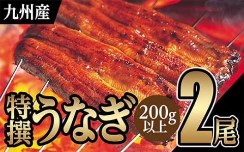 ｏ－００１　特選うなぎ【２尾】