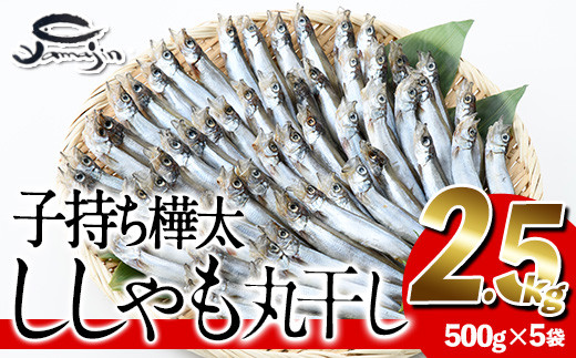 子持ち樺太ししゃも丸干し (計2.5kg・500g×5袋) 干物 ししゃも シシャモ 丸干し 魚 海鮮 冷凍 大分県 佐伯市【AP83】【ヤマジン】
