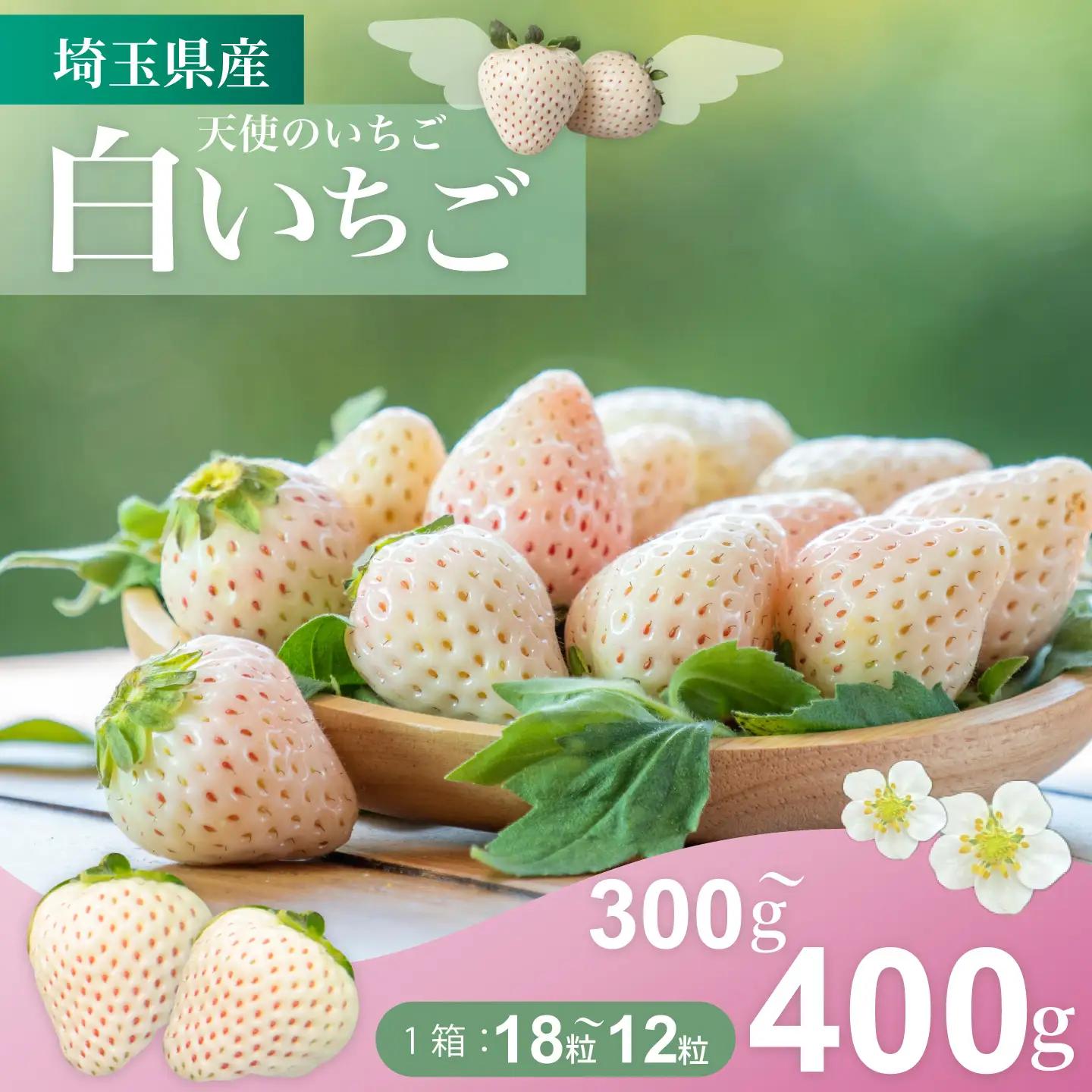 【発送1月～】天使のいちご　300～400ｇ　白いちご 　【苺】 イチゴ おおきい スイーツ 白い 果物 ふるさと納税 いちご うまい フルーツ 期間限定 人気いちご まるい 甘い いちご 旬 直送 おすすめいちご ストロベリー 苺ジャム いちご 好きのための いちご