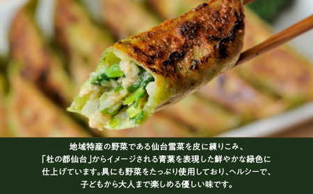 餃子 仙台あおば餃子　30個入【kann003】