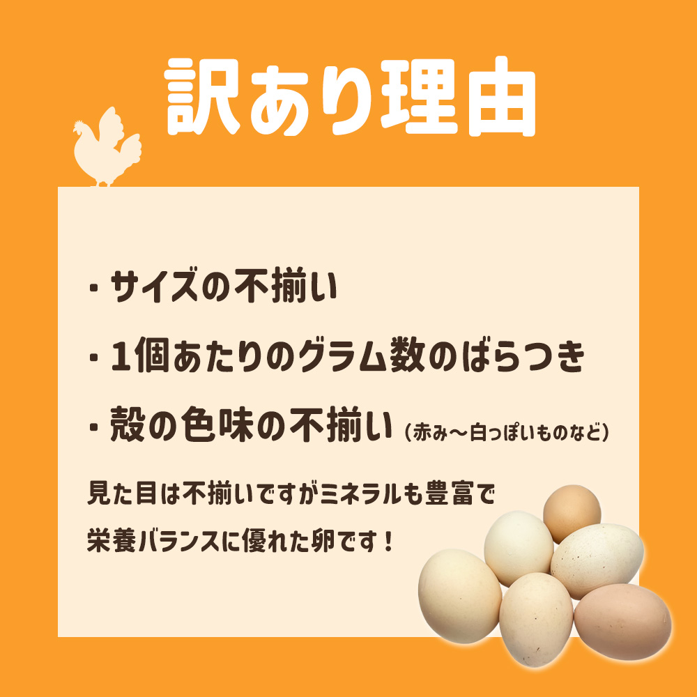 ましくんの完全放し飼い土佐ジローの卵 12個入り 訳あり 不揃い 規格外 ブランド卵 タマゴ 玉子 たまご 生卵 鶏卵 土佐地鶏 濃厚 新鮮 食品 訳アリ 自宅用 ご家庭用【R01216】