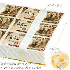 億万長者ケーキ 30×22cm 16から20名様用 冷凍 ケーキ おもしろケーキ
