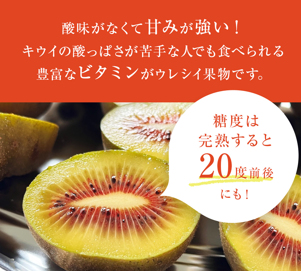 【先行予約】氷見産キウイ（レインボーレッド）1kg以上（12