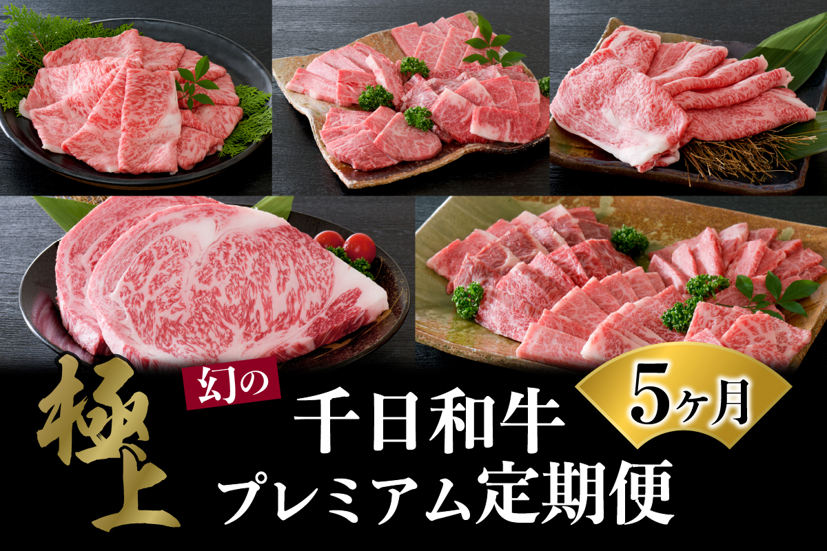 【数量限定】★肉の至宝★ 幻の山形牛【千日和牛】旨味とろける極上和牛5ヶ月定期便