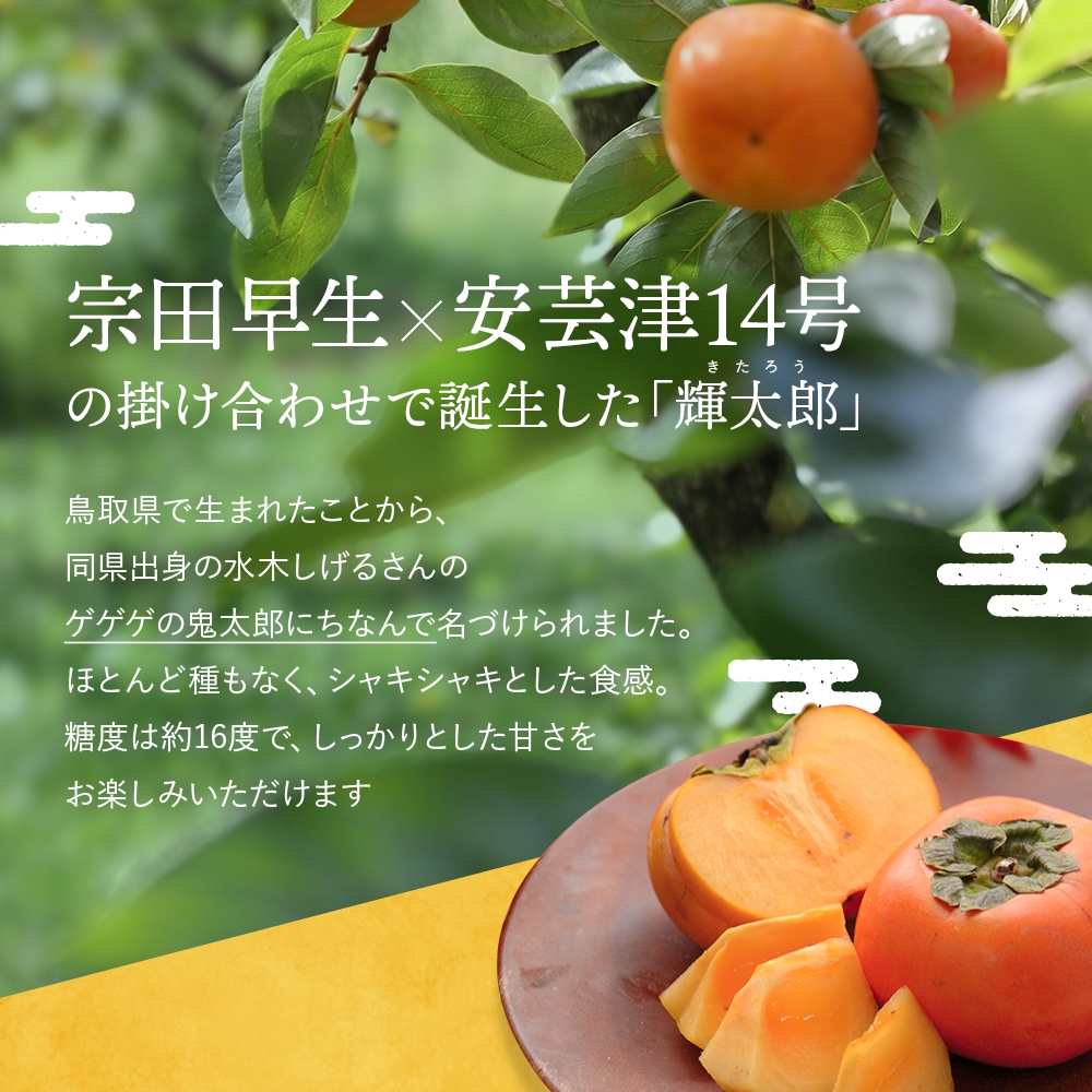 希少な柿【輝太郎】大玉6個～7個 コクのある甘さ！こだわり農家厳選 【2025年10月初旬頃から10月下旬頃順次発送】/ 柿 かき 果物 フルーツ 輝太郎 デザート おやつ 和菓子 菓子 お菓子 和歌山産 和歌山県産【kgr018】