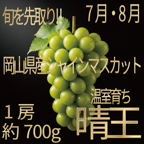 [HS]ぶどう先行予約7月・8月発送温室シャインマスカット晴王1房約700g ブドウ 葡萄  岡山県産 国産 フルーツ 果物 ギフト デザート 食後 酸味が少ない 産地直送