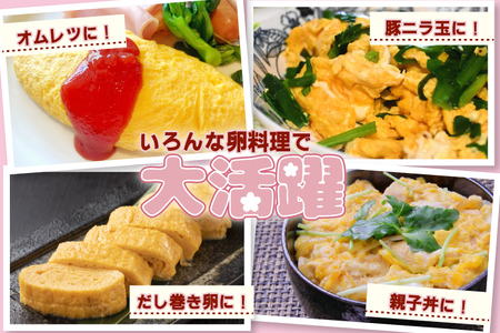 AJ013-1　純国産鶏【さくらともみじ】純たまご25個