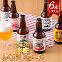 【ふるさと納税】 ＜クラフトビール＞ 本庄クラフトビール 6本セット ビール 発泡酒 クラフト アルコール 酒 飲料 セット F5K-450