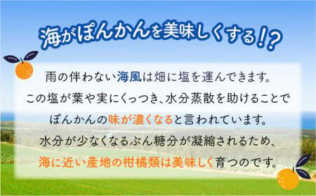 【先行予約】ポンカン 海のミネラルをたっぷり含んだ甲浦のポンカン 10kg 国産 東洋町産 訳アリ 甘い 栄養たっぷり ジューシー フルーツ 蜜柑 ミカン 果肉 四国 お取り寄せ フルーツ 果物 家庭