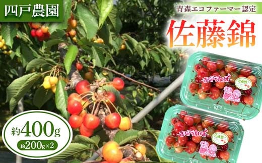 《農家直送》 さくらんぼ「佐藤錦」 バラ詰め 約200g×2パック【四戸農園】 青森県エコファーマー認定 小分け 400g F21U-309
