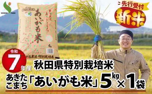 【新米先行受付】令和7年産秋田県特別栽培米あきたこまち「あいがも米」5kg 80P9005　/ 米 特別栽培米 白米 令和7年産 秋田県産 あきたこまち 5kg おにぎり 大館 東北 秋田 小分け こわけ 大館市 5キロ 5ｷﾛ 5きろ あいがも米 アイガモ米 あいがも農法 アイガモ農法