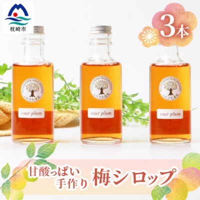 【お歳暮・のし付き】ふかざわ農園の梅シロップ 180ml×3瓶　手づくり A3-27S