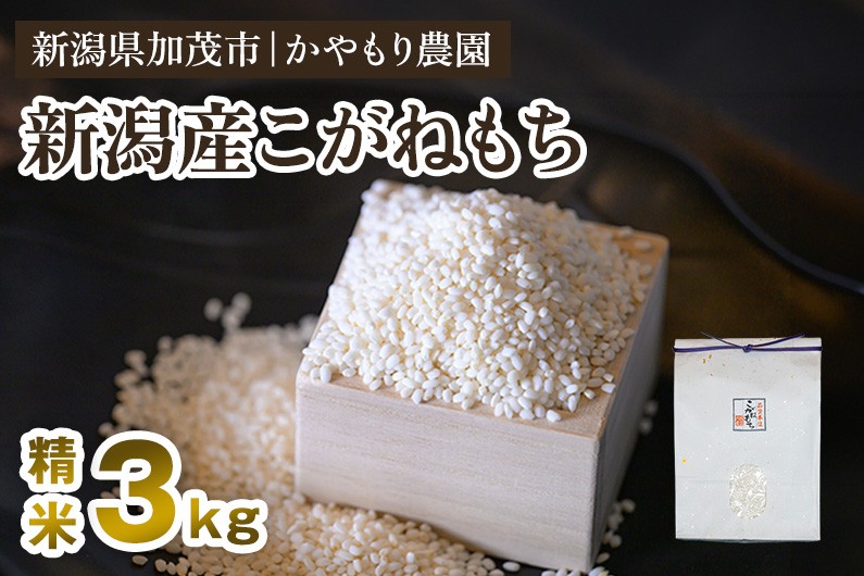 
                  新潟産こがねもち 精米3kg《順次出荷》 もち米 餅 コガネモチ 新潟県産 お米 おこわ  加茂市 かやもり農園
                