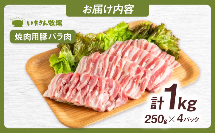 一貴山豚 焼肉用バラ肉 計1kg(250g×4p) 糸島市 / いきさん牧場 豚肉 冷凍 [AGB035]