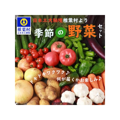 【先行受付】日本三大秘境 椎葉村産の季節野菜セット【2024年7月~8月配送】