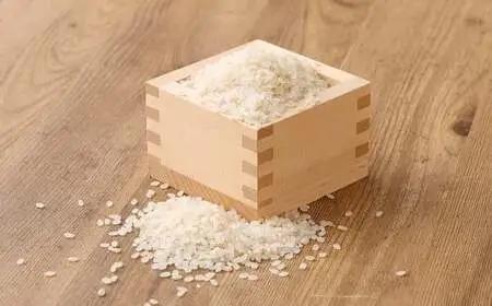 【5分】 夢つくし （特別栽培米） 約10kg 福岡県産 令和8年産 米 こめ コメ