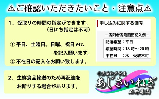 ES001 石井さん家のあじさいねぎ 約2kg