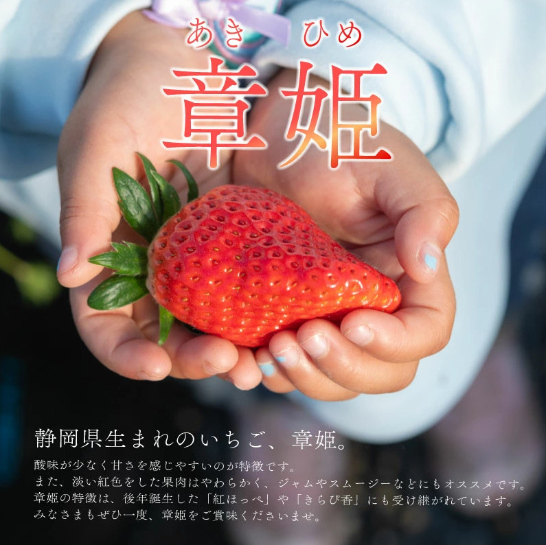  冷凍いちご 1kg 章姫 国産 冷凍 いちご 1kg フルーツ スイーツ デザート くだもの 果物 ストロベリー 甘い おいしい 大粒 濃厚 冷凍いちご かき氷 静岡県 牧之原市 藤田農園 1kg