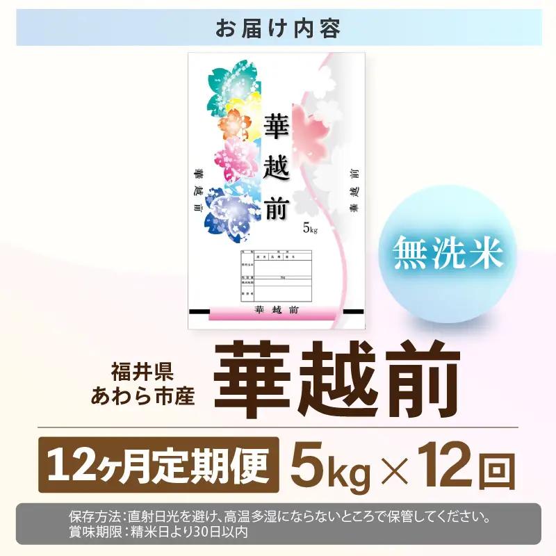 【先行予約】【令和8年産】定期便 ≪12ヶ月連続お届け≫ 華越前 無洗米 5kg×12回 （計60kg）/ 米 5キロ 60キロ ハナエチゼン はなえちぜん 北陸 福井県産 あわら市 ブランド米 白米