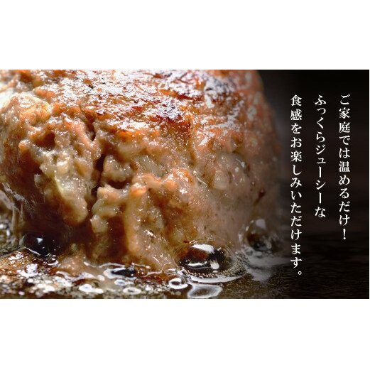 淡路玉ねぎたっぷりハンバーグ（特製ソース付）140g×6個　　[ハンバーグ ソース付 ハンバーグ 真空パック ハンバーグ 湯煎 ハンバーグ]_イメージ3
